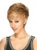 Impressive Short Straight Lace Front African American Wig
