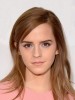 Gorgeous Emma Watson Straight Lace Front Synthetic Wig