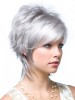 Lace Front Grey Layered Synthetic Wig