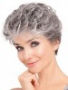 Synthetic Soft Wavy Front Lace Grey Wig