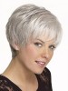 Short Synthetic Straight Grey Wig
