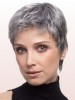 Layered Straight Lace Front Grey Wig