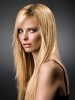 Elaborately Straight Human Hair Lace Front Wig