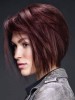 Smooth Straight Lace Front Synthetic Wig