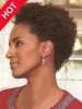 Short Human Hair African American Curly Wig