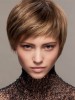 Brilliant Straight Capless Synthetic Wig