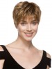 Elegant Straight Lace Front Monofilament Synthetic Wig