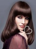 New Style Straight Long Synthetic Capless Wig