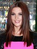 Wonderful Synthetic Straight Lace Front Wig